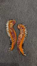 Load image into Gallery viewer, Feathers
